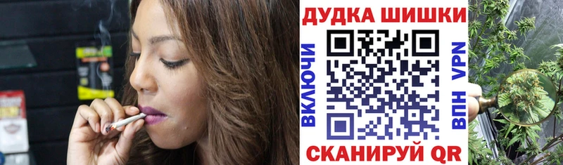 Купить где  Южно-Сухокумск  Бошки Шишки сатива 